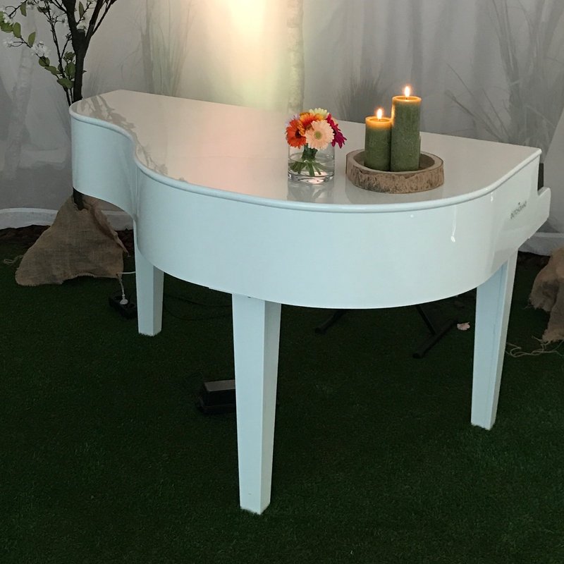 Witte vleugelpiano shell